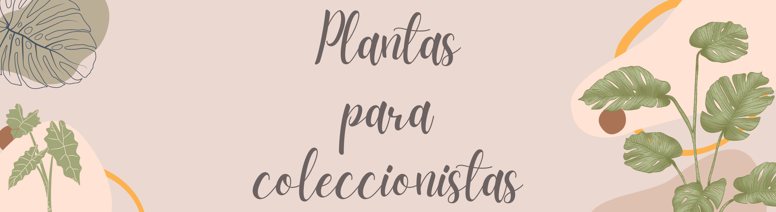 PLANTAS DE COLECCIÓN